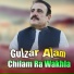 Gulzar Alam