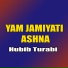 Hubib Turabi