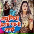 Mithun Money