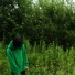 MAY