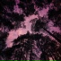 ACID2