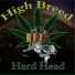 Hard Head feat. Winsday, Ms.Beauty, $ Swagg