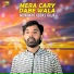 Munawar Abbas Raja