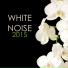 White Noise Masters