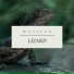 Wasylla