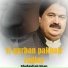 Shafaullah Khan Rokhri