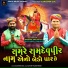 Mahesh Prajapati, Pruthviraj Chauhan