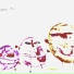 Shulga