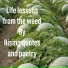Rising quotes and poetry