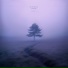 ghxsted.