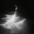 Мария Никитенко