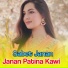 Sabet Janan