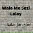 Salar Janikhel