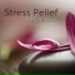 Healing Music Spirit