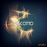 Discotto, Dnaser