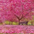 TEHtection