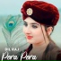Dil Raj