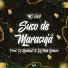 Mc GW, Dj Feeh Ribeiro, DJ Nydelas7