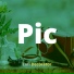 Lofi Decorator