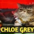 Chloe Grey