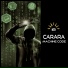 Carara