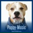 Sleepy Dog, Relaxmydog, Dog Music Dreams