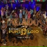 Banda Punto Medio