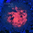 Echodrone