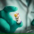 Paracetamol