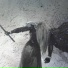 nxrakai