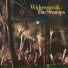 Widowspeak