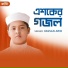Hassan Arib