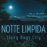 Slang Dogs City