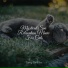 Pet Care Club, RelaxMyCat, Jazz Music for Cats