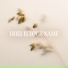 Heartcry of David