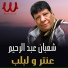 Shaaban Abd El Reheem