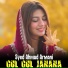 Syed Ahmad Armani