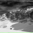Трицитробел