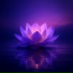 Elaris, Japanese Relaxation and Meditation