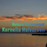 Kornelia Halvorsen