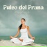 Musica Para Yoga