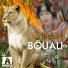 Djedjiga Bouali