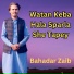 Bahadar Zaib