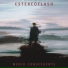 Estereoflash