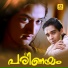 K S Chithra