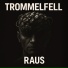 TROMMELFELL