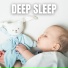 The Sleepy Sounds