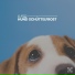 Beruhigende Musik für Hunde