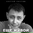Александр Шаханин