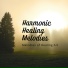 Melodies of Healing Art
